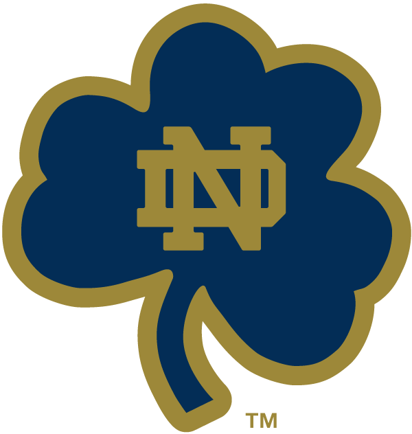 Notre Dame Fighting Irish 1994-Pres Alternate Logo v18 diy DTF decal sticker